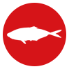 大アジ
